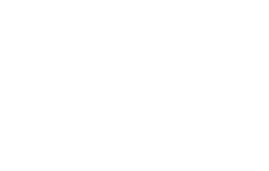 BUXBIKE Logo